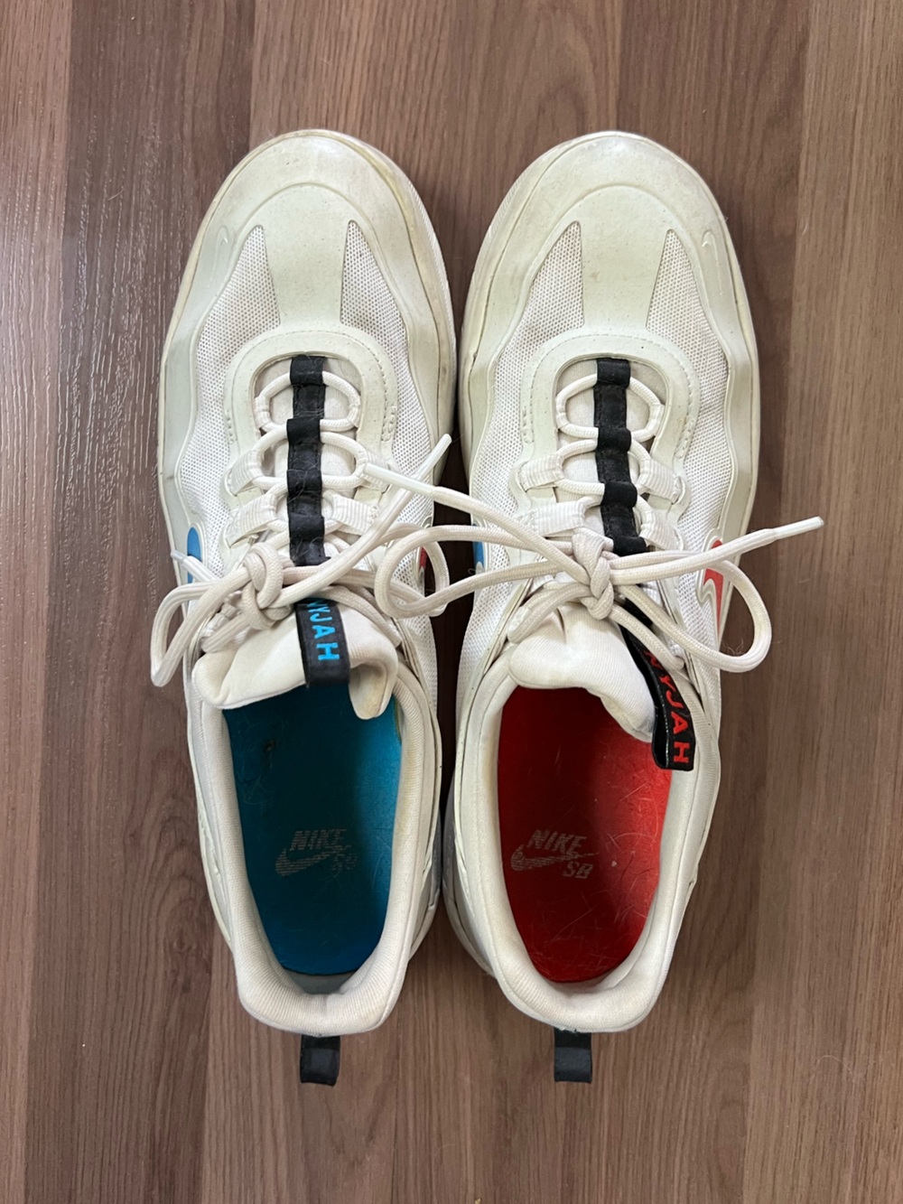 Nike Skateboard Nyjah Free Low-Top Sneakers; Blue and Red accents